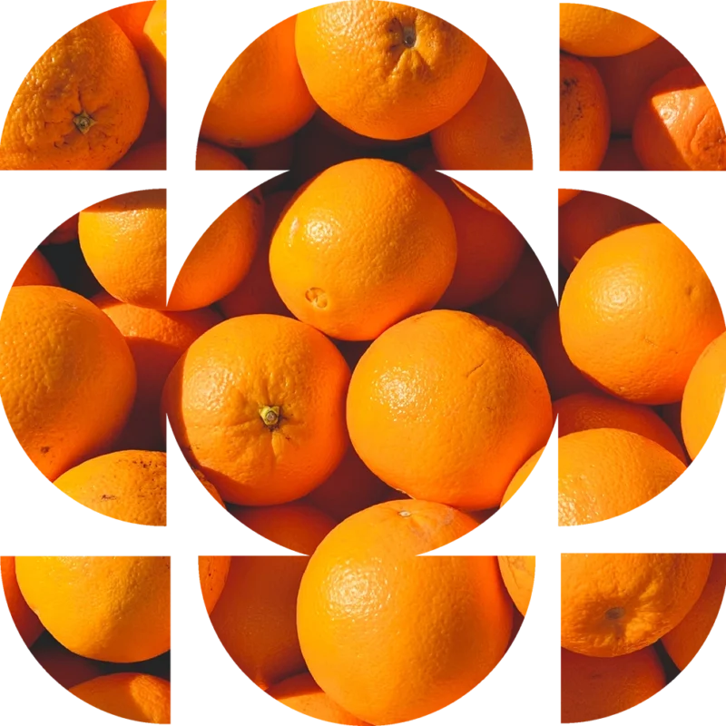 YlpeysSymboli Customized Social Media Marketing Training – FB and IG